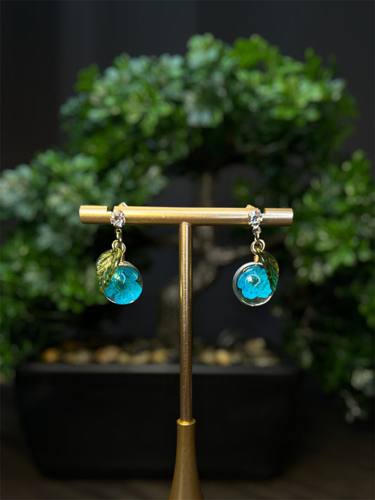 Real Blue Flower Bubble Earrings E102
